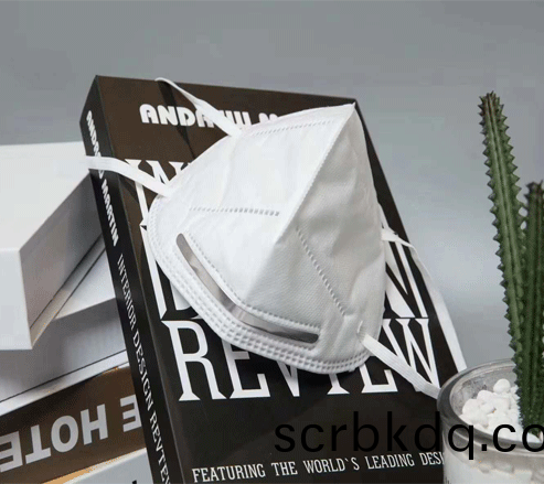 N95防(fang)護(hu)型(xing)口罩